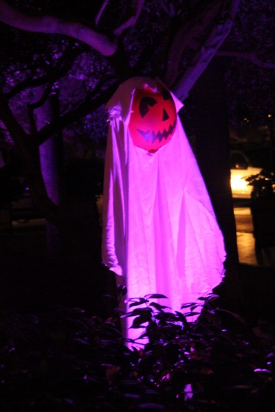 Halloween at Mondo-Phoenicia